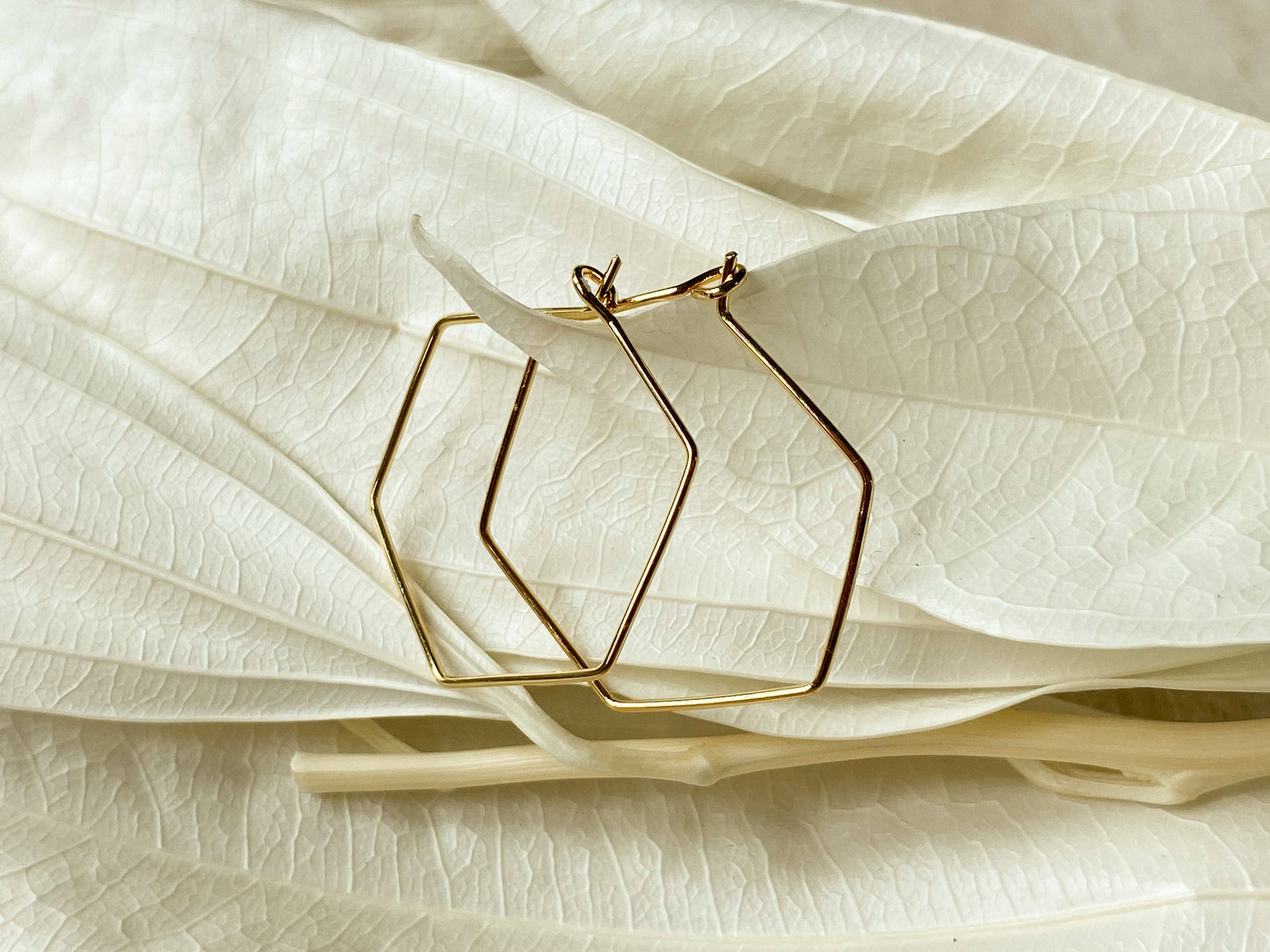 Hexi Hoops earrings
